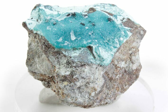 Sparkling Druzy Quartz on Chrysocolla - DR Congo #366212